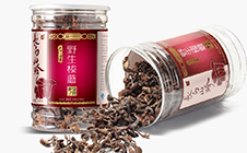 ​​​​​​​野生榛蘑